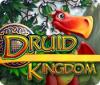 Druid Kingdom játék