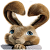 Hop: Easter Bunny Coloring játék