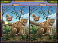 Ingyenesen letölthető World Riddles: Animals mintakép 1