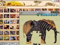 Free download Animals of Africa screenshot