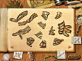 Ingyenesen letölthető Paradise Quest mintakép 2