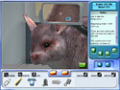 Free download Pet Pals: New Leash on Life screenshot