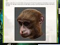 Ingyenesen letölthető Return to Mysterious Island 2: Mina's Fate Strategy Guide mintakép 2