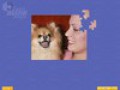 Ingyenesen letölthető Super Jigsaw Puppies mintakép 1