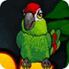  Thirsty Parrot játék