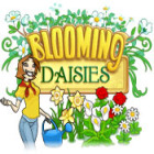 Blooming Daisies játék