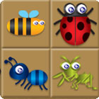 Bug Box játék