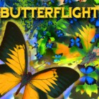 Butterflight játék