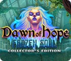 Dawn of Hope: The Frozen Soul Collector's Edition játék