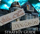 Hidden in Time: Looking-glass Lane Strategy Guide játék