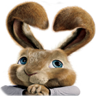 Hop: Easter Bunny Coloring játék