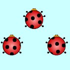Ladybug Pair Up játék