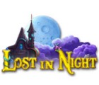 Lost in Night játék