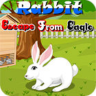 Rabbit Escape From Eagle játék