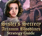 Sister's Secrecy: Arcanum Bloodlines Strategy Guide játék