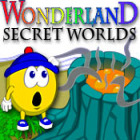 Wonderland Secret Worlds játék