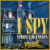 I Spy: Spooky Mansion játék