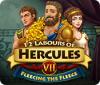 12 Labours of Hercules VII: Fleecing the Fleece játék