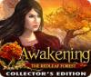 Awakening: The Redleaf Forest Collector's Edition játék