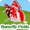 Butterfly Fields játék
