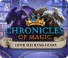 Chronicles of Magic: The Divided Kingdoms játék
