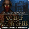 Cursed Memories: The Secret of Agony Creek Collector's Edition játék