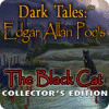 Dark Tales: Edgar Allan Poe's The Black Cat Collector's Edition játék