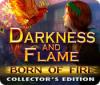 Darkness and Flame: Born of Fire Collector's Edition játék