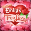 Delicious: Emily's True Love játék