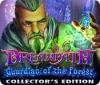 Dreampath: Guardian of the Forest Collector's Edition játék