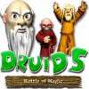 Druid's Battle of Magic játék