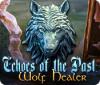 Echoes of the Past: Wolf Healer játék