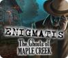 Enigmatis: The Ghosts of Maple Creek játék