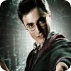 Harry Potter: Fight the Death Eaters játék