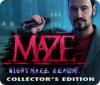 Maze: Nightmare Realm Collector's Edition játék