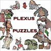 Plexus Puzzles játék
