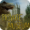 Private Museum játék