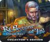 Reflections of Life: Dream Box Collector's Edition játék