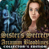 Sister's Secrecy: Arcanum Bloodlines Collector's Edition játék