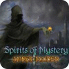 Spirits of Mystery: Amber Maiden Collector's Edition játék