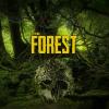 The Forest játék