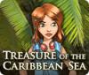 Treasure of the Caribbean Seas játék