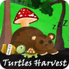 Turtles Harvest játék