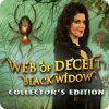 Web of Deceit: Black Widow Collector's Edition játék