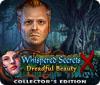 Whispered Secrets: Dreadful Beauty Collector's Edition játék