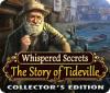 Whispered Secrets: The Story of Tideville Collector's Edition játék